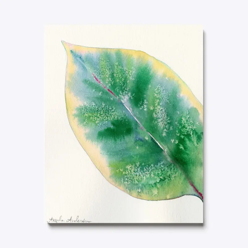 Leaf Watercolor-Ficus Elastica